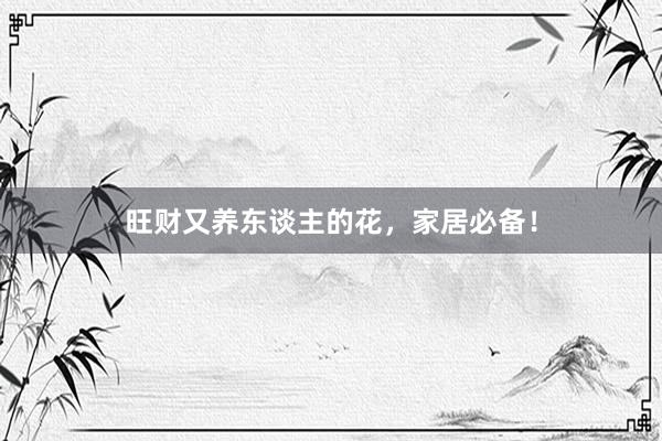 旺财又养东谈主的花，家居必备！