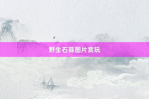 野生石蒜图片赏玩
